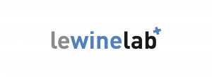 lewinelab-fond-logo